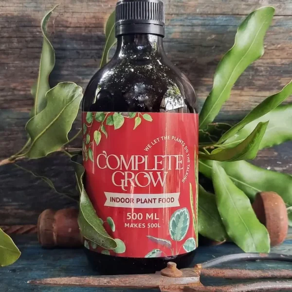 1713763739016-327127160_1215119559432232_3466764942599896391_n