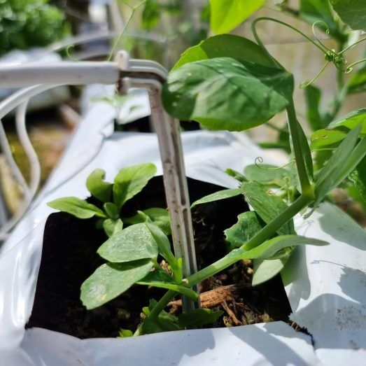 279101338_701710131028449_131234580802309302_n