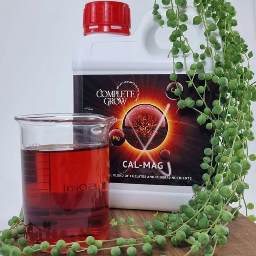 314479023_1464547224067562_849958917395316573_n