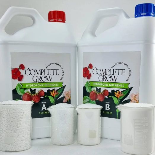 318320284_5959202890797128_2727279675593792884_n