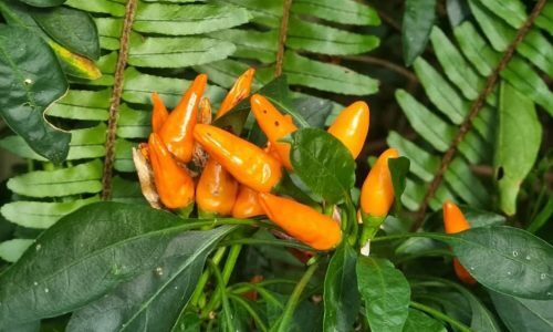 431793463_402208962498787_2891104271070762246_n