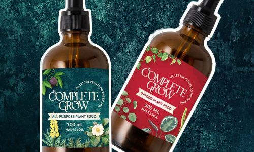 499358161_1079151584236189_264543172087925289_n