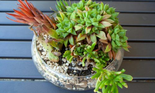 paddy-pohlod-BocWZMO2DEo-unsplash