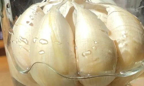 280518770_1054401255497842_8006648546826904018_n