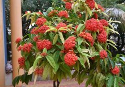 abhimanyu-shivkumar-FDraAufljhc-unsplash (1)