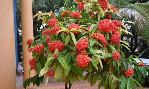 abhimanyu-shivkumar-FDraAufljhc-unsplash (1)