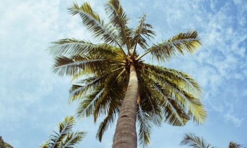 alec-bennett-f9NACz3-V-s-unsplash (1)