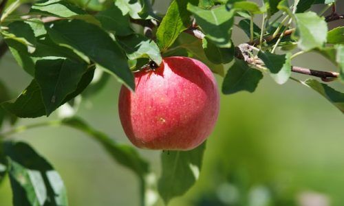 alex-belogub-JucIyN5dGEs-unsplash