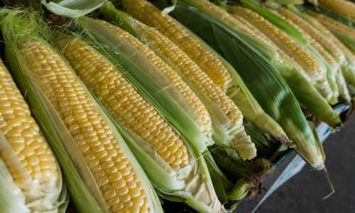 andre-ouellet-P-zN6GfHv8M-unsplash (1)