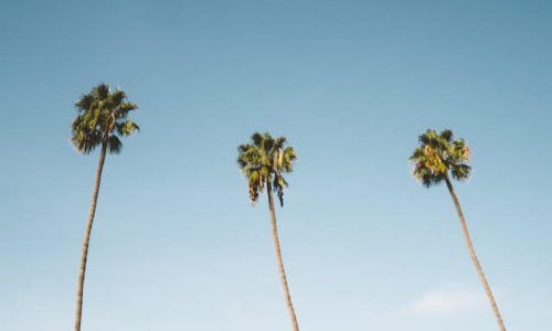 andrew-ridley-WcxOZSezy0k-unsplash (1)