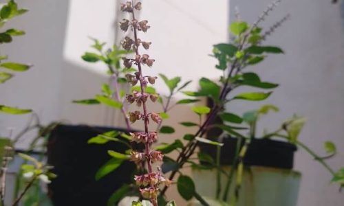 anirban-haldar-C5wBvtazI98-unsplash (1)