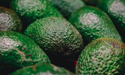 anthony-le-FLPQG-M7JTo-unsplash