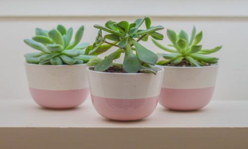 beatriz-moraes-QnDPl6pxSWE-unsplash