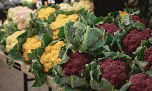 bovia-co-photography-cf8pyXmkR6k-unsplash