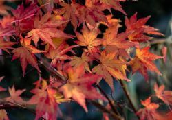 claire-thatcher-1eWC7o5bjjY-unsplash