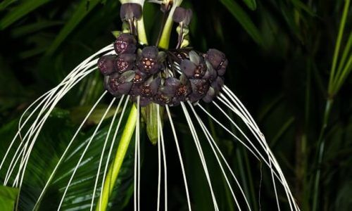 david-clode-Vp2q9Fb6_M0-unsplash (1)