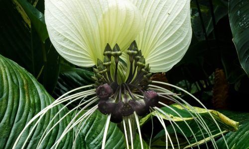 david-clode-izPgzc2OP10-unsplash (1)