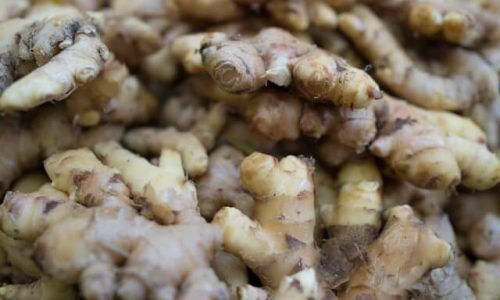 dean-david--vN_tvbzWJw-unsplash (1)