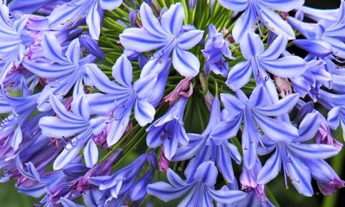 deb-dowd-41ZoIZrNGKA-unsplash