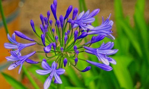 dusan-veverkolog-lkdKGZ5wyLo-unsplash