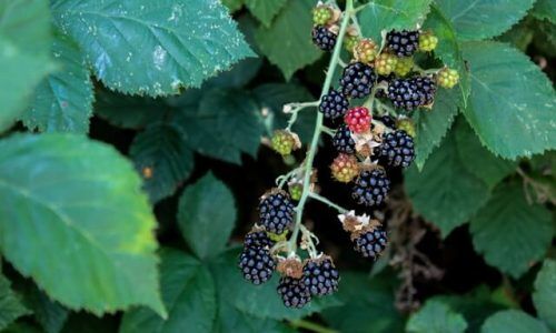 elizabeth-george-ZLglbZXdkso-unsplash (1)