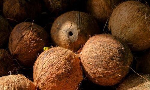 engin-akyurt-1g3fkv6t23M-unsplash (1)