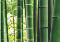 enkuu-smile_-OoULo8WHNtY-unsplash