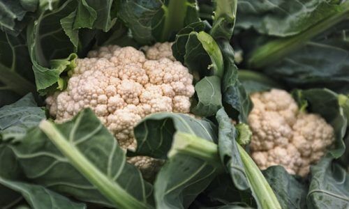 eric-prouzet-D8ZrftlvNDE-unsplash