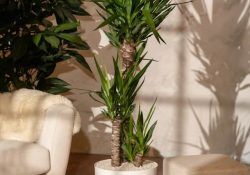 feey-2TWMOWW3xrE-unsplash (1)