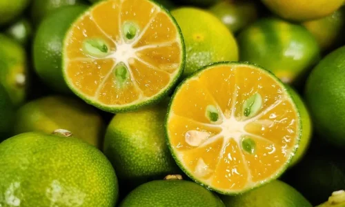 fresh-calamansi-limes-489940_1024x1024@2x
