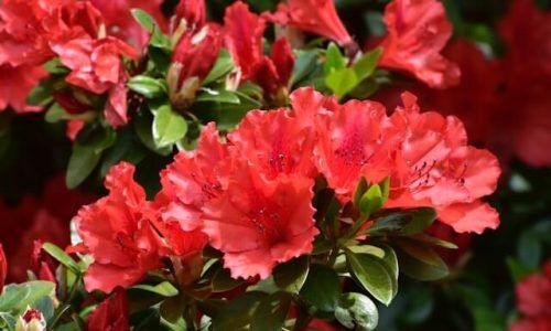 geoff-oliver--pAkJNpLObw-unsplash (1)