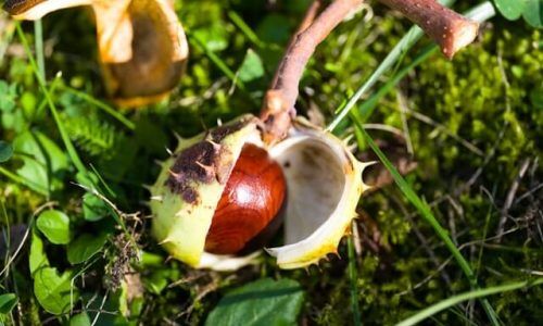 georg-eiermann-g0sEWLU-W_8-unsplash (1)