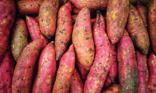 glen-hayoge-k0MigzUz-vI-unsplash