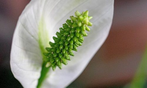 gretchen-wentzell-lowerison-eclAUL8XKRs-unsplash