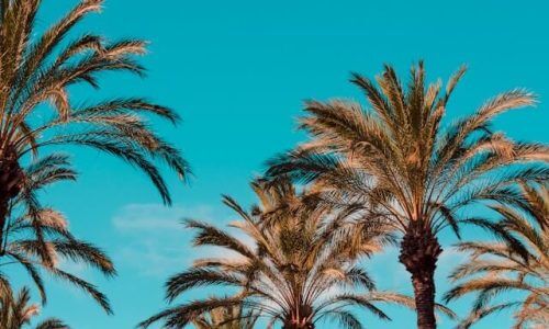 henry-be-KttgjNw5Iqo-unsplash (1)