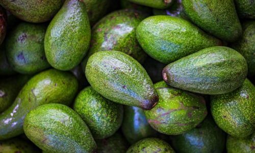 hitoshi-namura-ePsIKxISjNU-unsplash