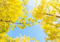 hongwei-fan-bkD7YfVwltc-unsplash (1)