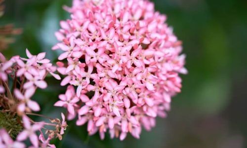 jose-g-ortega-castro-rrp2K6UJ4Ww-unsplash (1)