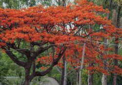 joydeep-sensarma-Bje1UktVUqk-unsplash (1)