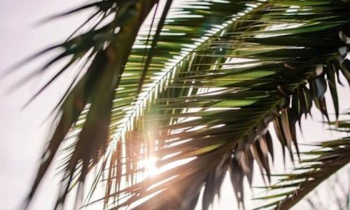 kamila-maciejewska-6MVICWipbgU-unsplash (1)