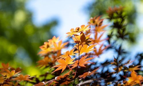 kenneth-baucum-Tsl_A8u9jxM-unsplash