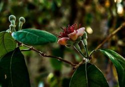 kostiantyn-vierkieiev-9_x2Gy_SuDE-unsplash (1)