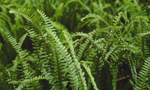 li-xiaohan-Tha0N2zfrT8-unsplash