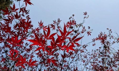 lufs-x-OVECvaX1nio-unsplash (1)