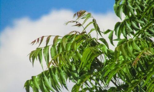 madhav-malleda-L5aUutpdZ8Q-unsplash (1)