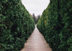 maxwell-young-bQYV0dz9GjE-unsplash