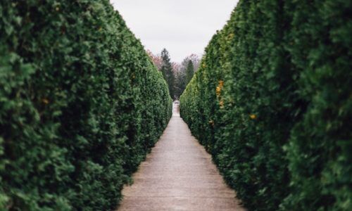 maxwell-young-bQYV0dz9GjE-unsplash