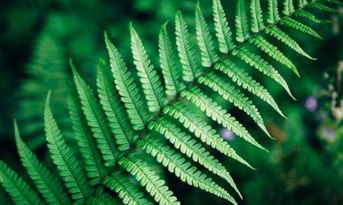 mike-erskine-K20boRWBDso-unsplash