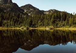 nathan-dumlao-ztk28558QWg-unsplash (1)