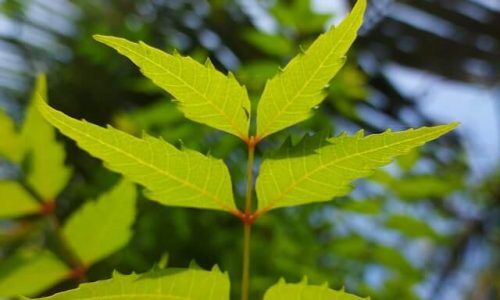 nick-cardoso-rrqCYaMOQW8-unsplash (1)